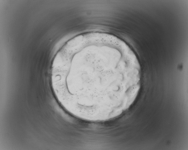 X0000113851379200910221409