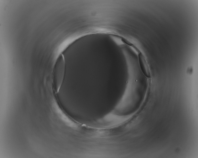 X0000113851381200910221409