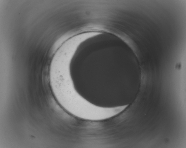 X0000113851382200910221409