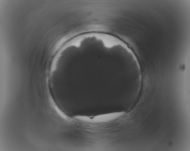 X0000113851383200910221409