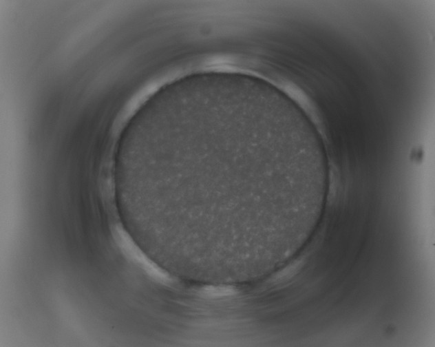 X0000113851384200910221409