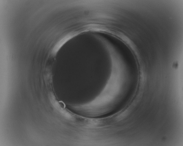 X0000113851385200910221409