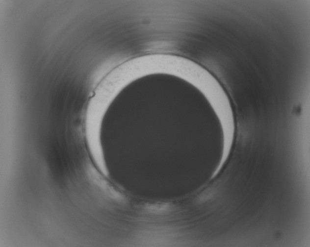 X0000113851386200910221409