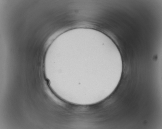 X0000113851387200910221409