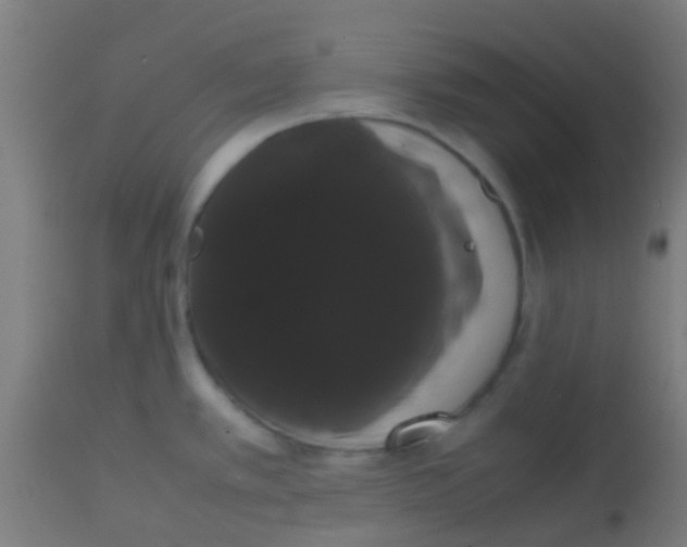 X0000113851389200910221409