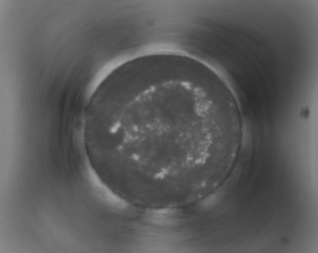 X0000113851390200910221409