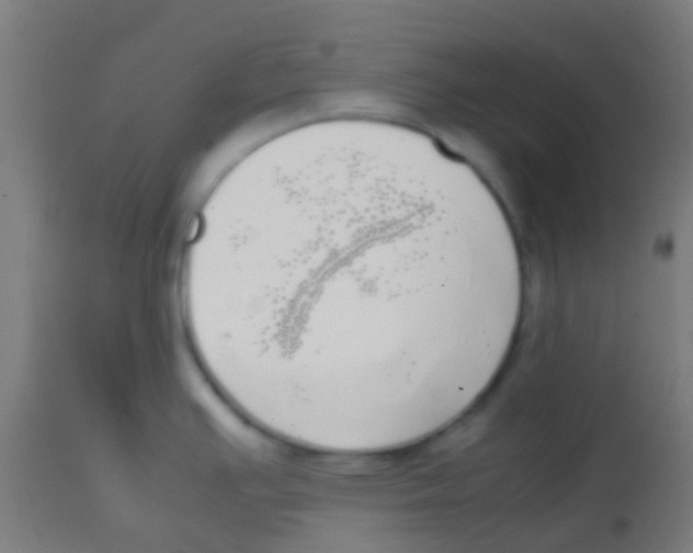 X0000113851391200910221409