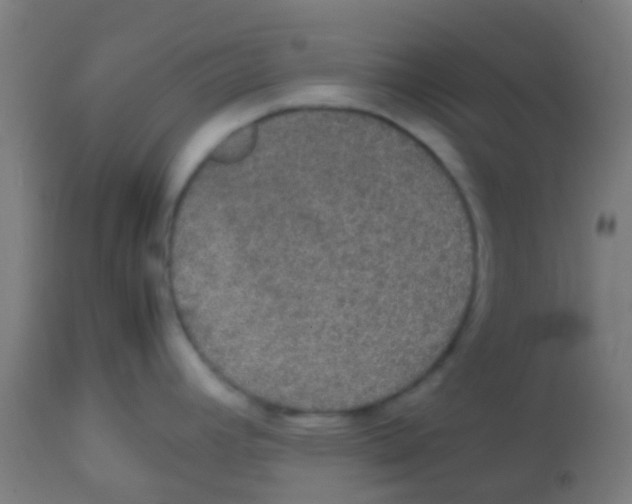 X0000113851392200910221409