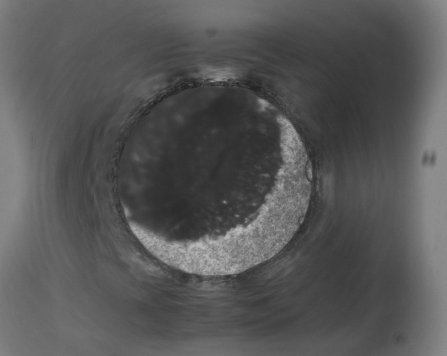 X0000113851393200910221408