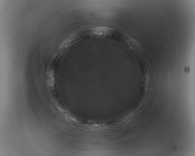 X0000113851394200910221408