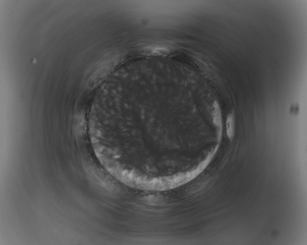 X0000113851395200910221408