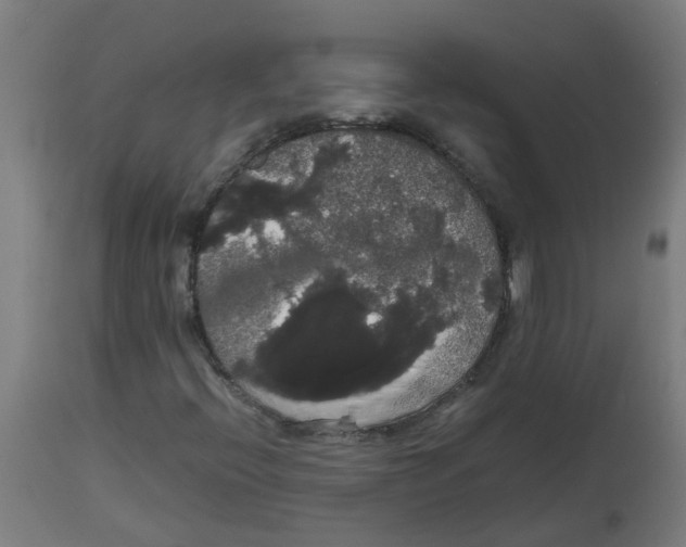 X0000113851396200910221408