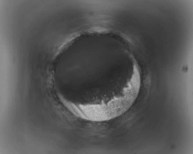 X0000113851397200910221408