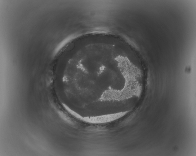 X0000113851400200910221408