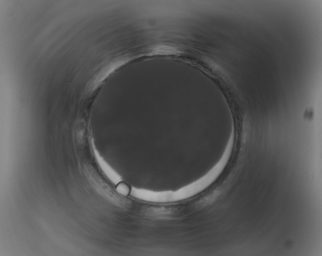 X0000113851401200910221408