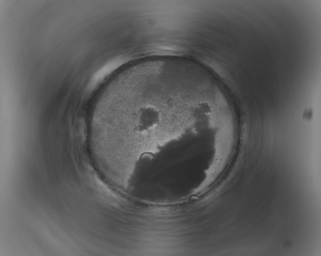 X0000113851402200910221408