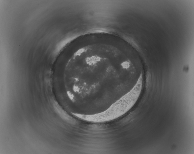 X0000113851404200910221408