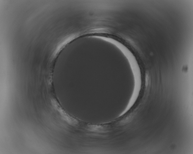 X0000113851405200910221408