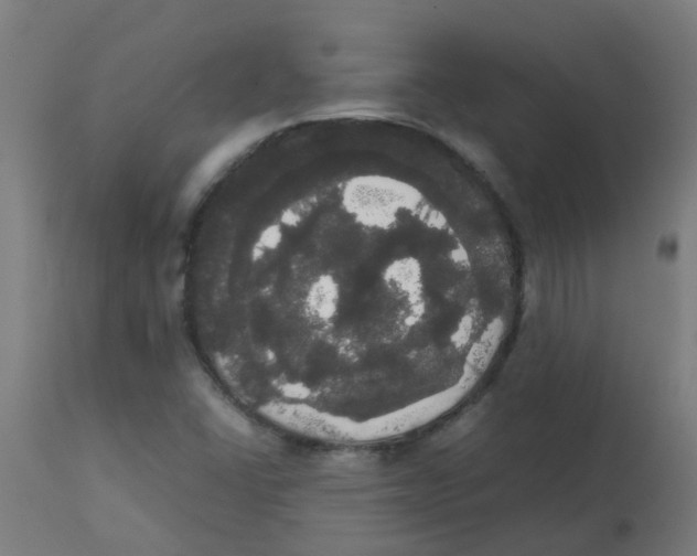 X0000113851406200910221408