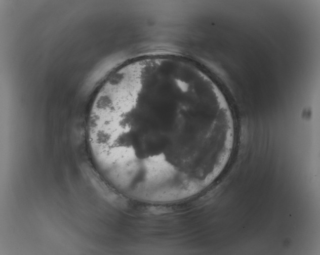 X0000113851407200910221408