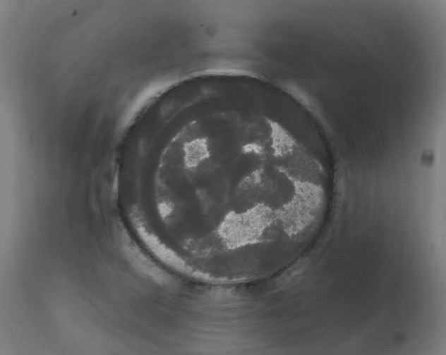 X0000113851408200910221408