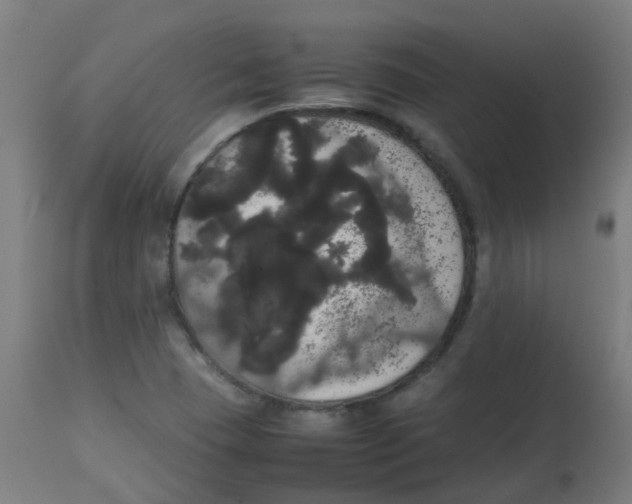 X0000113851409200910221408