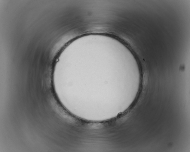 X0000113851410200910221409