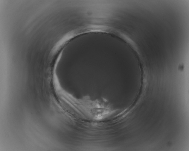 X0000113851411200910221409