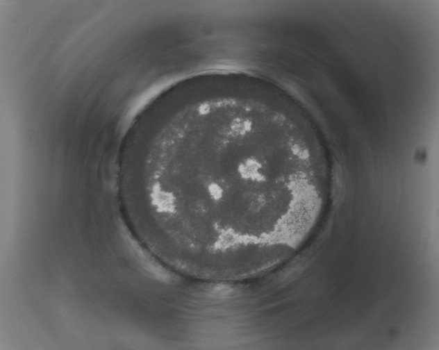 X0000113851412200910221409