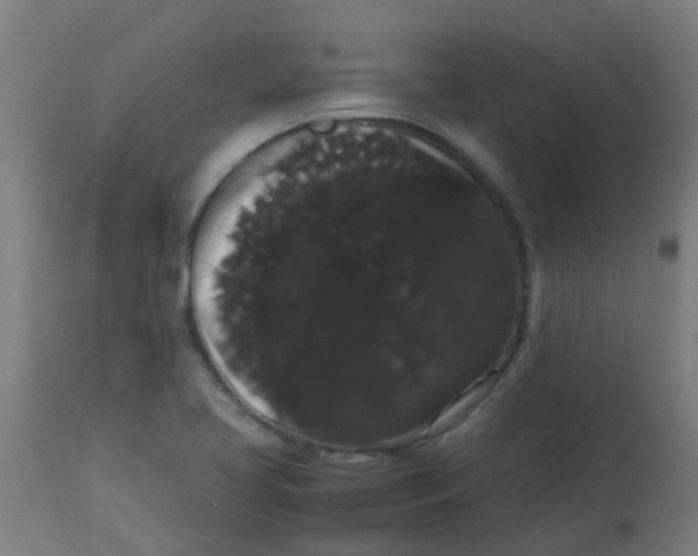 X0000113851413200910221409