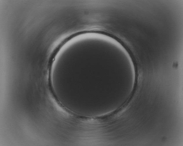 X0000113851414200910221409