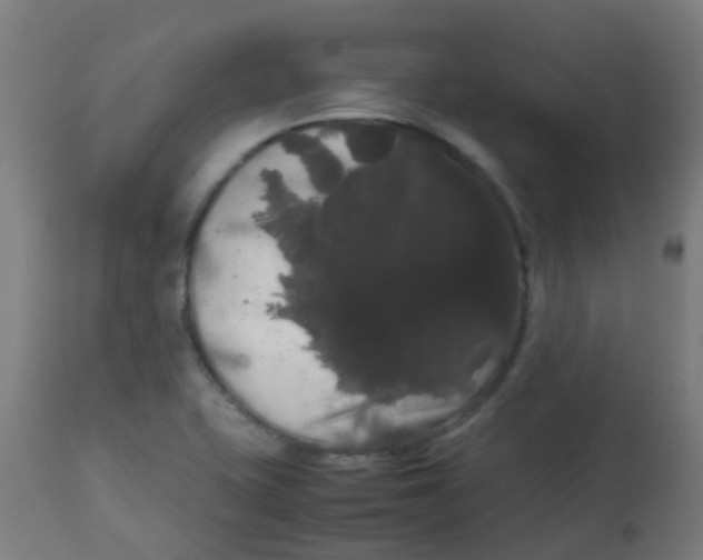 X0000113851415200910221409