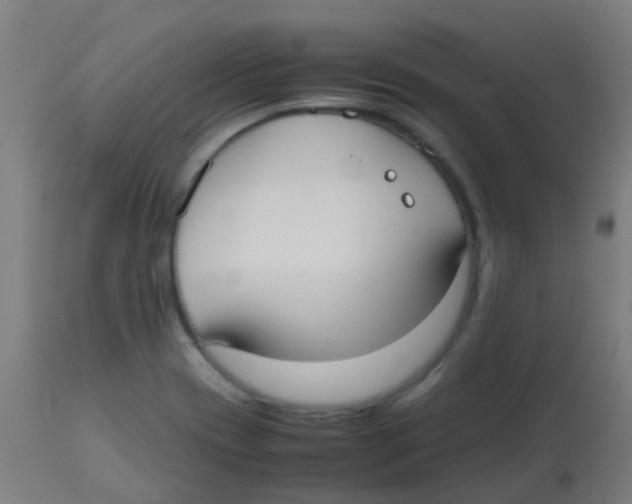 X0000113851417200910221409