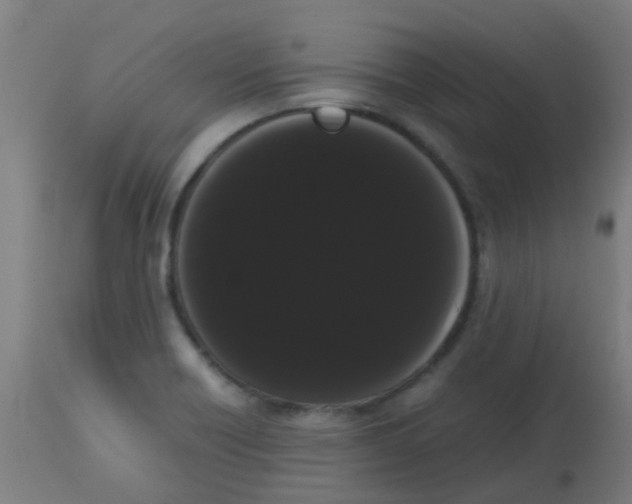 X0000113851418200910221409