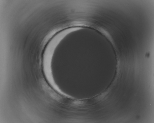 X0000113851419200910221409