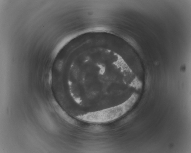 X0000113851420200910221409