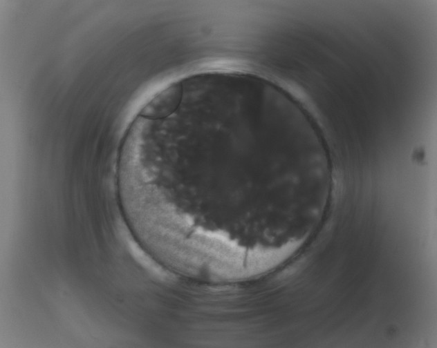 X0000113851421200910221409