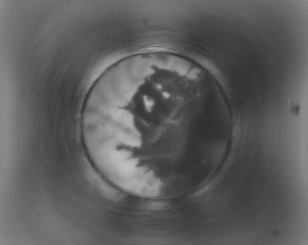 X0000113851423200910221409