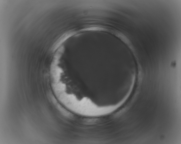 X0000113851425200910221409