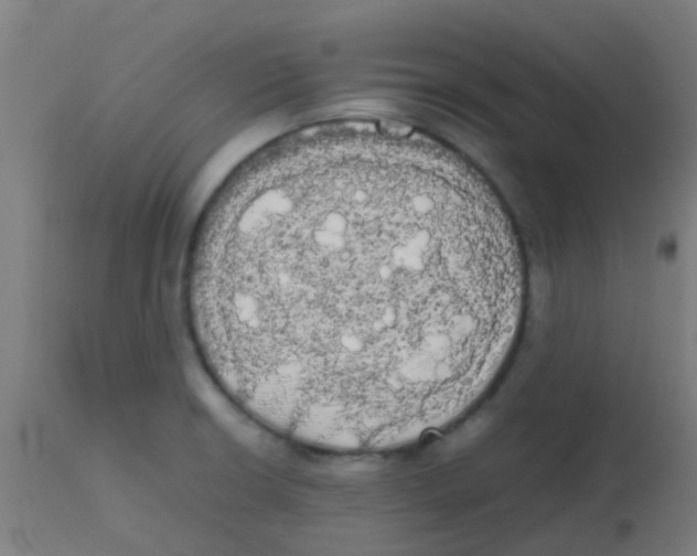 X0000113851426200910221409