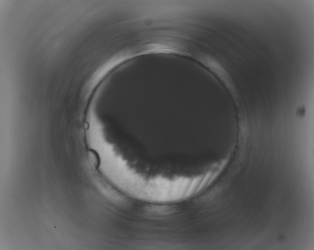 X0000113851427200910221409