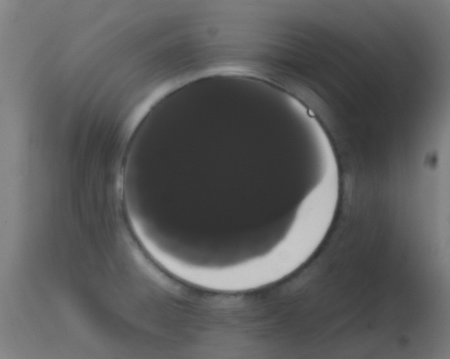 X0000113851428200910221409