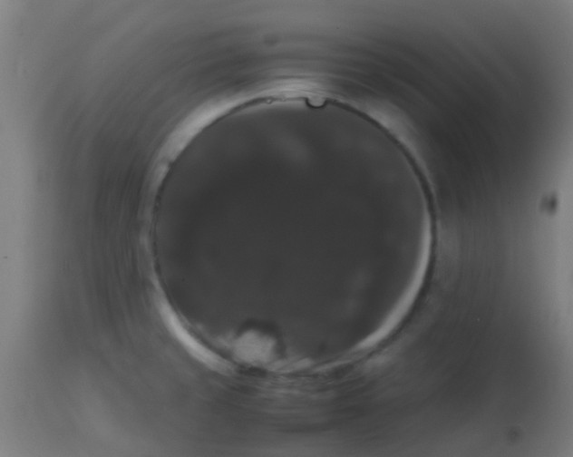 X0000113851429200910221409