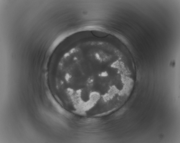 X0000113851430200910221409