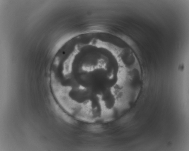 X0000113851431200910221409