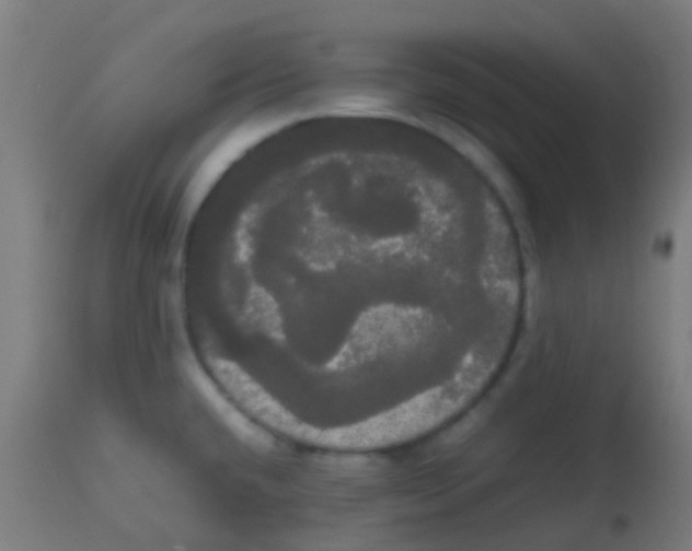 X0000113851432200910221409