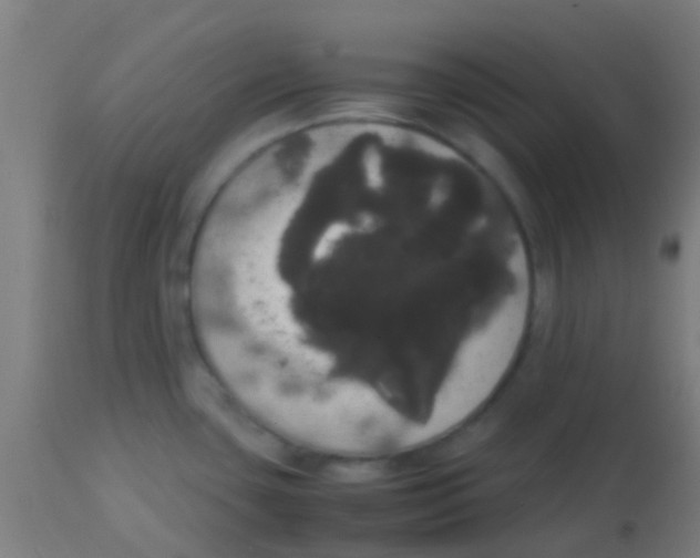 X0000113851435200910221409