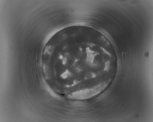 X0000113851436200910221409