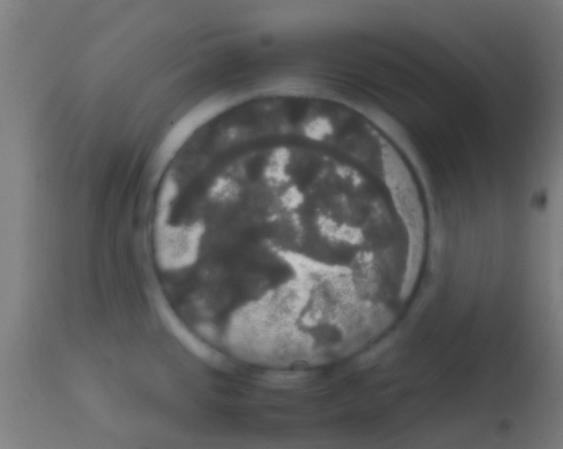 X0000113851437200910221409