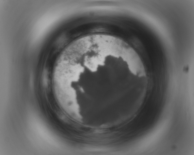 X0000113851438200910221409